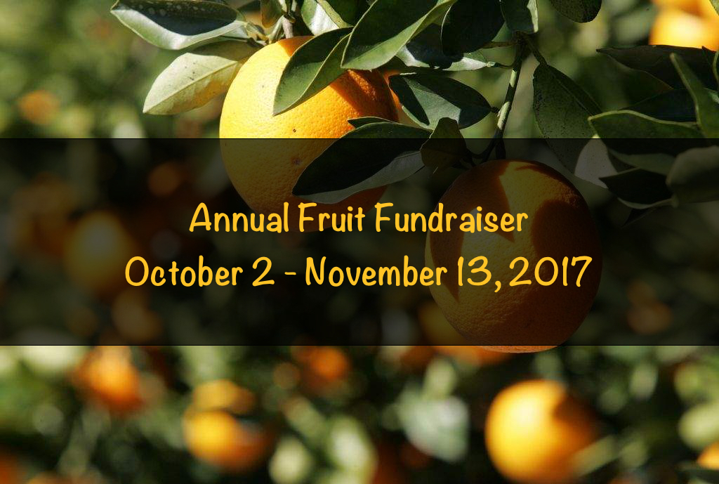 Thumbnail for the post titled: 2017 NHS Band Fruit Sale